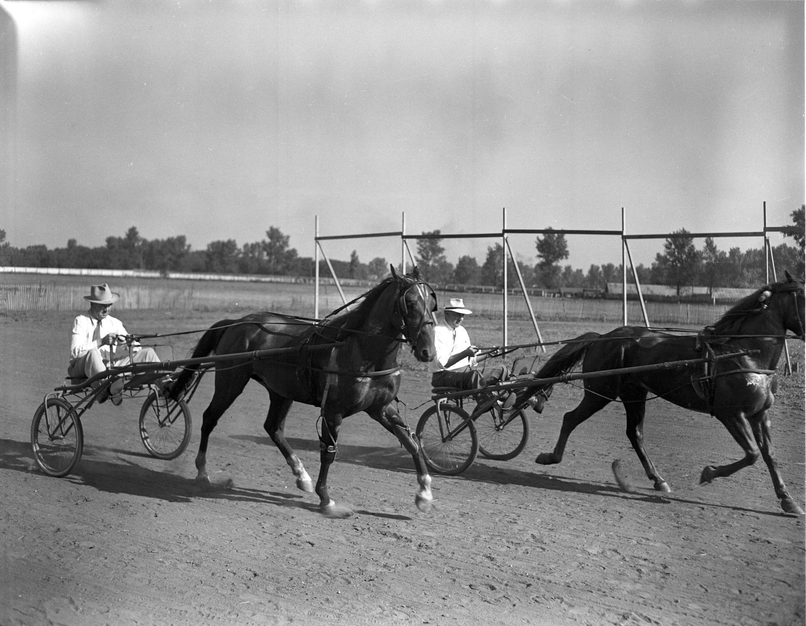 Wolfe and Phalen horse race